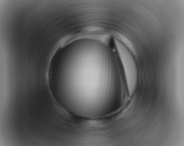 X0000091931330200709261907