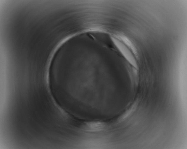 X0000091931331200709261907