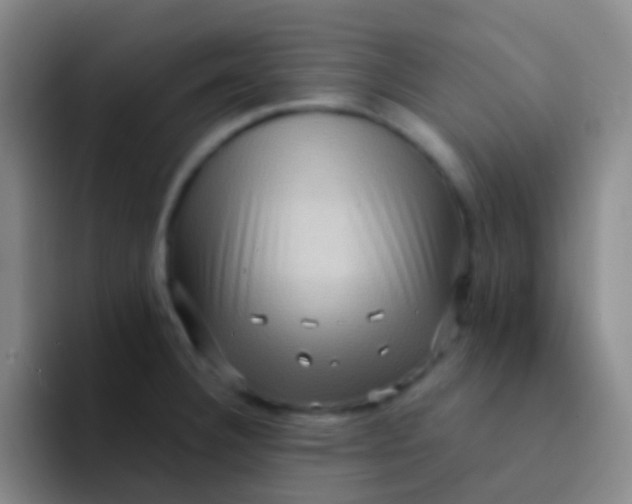 X0000091931332200709261907