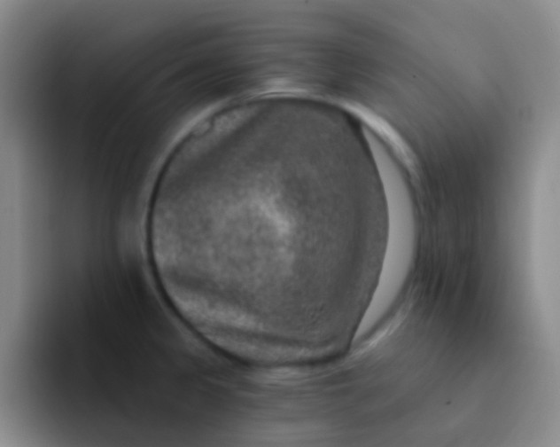 X0000091931333200709261907