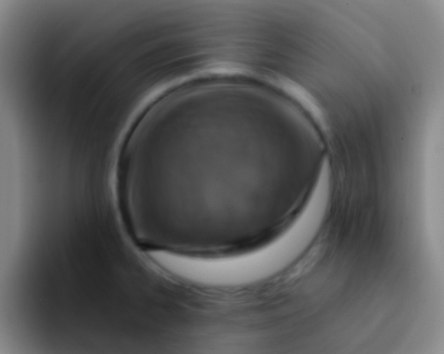 X0000091931334200709261907