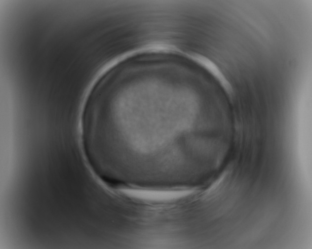 X0000091931335200709261907