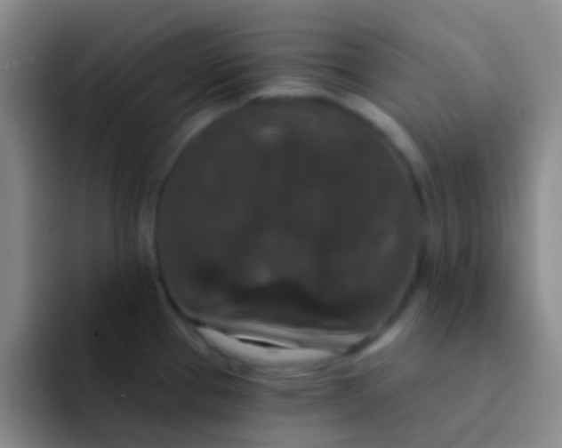 X0000091931337200709261907