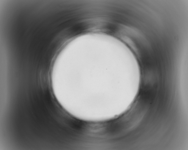 X0000091931338200709261907