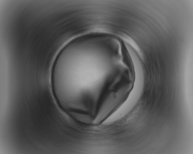 X0000091931339200709261907