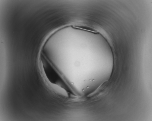 X0000091931344200709261907