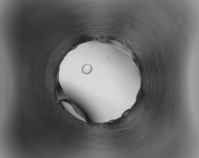 X0000091931345200709261906