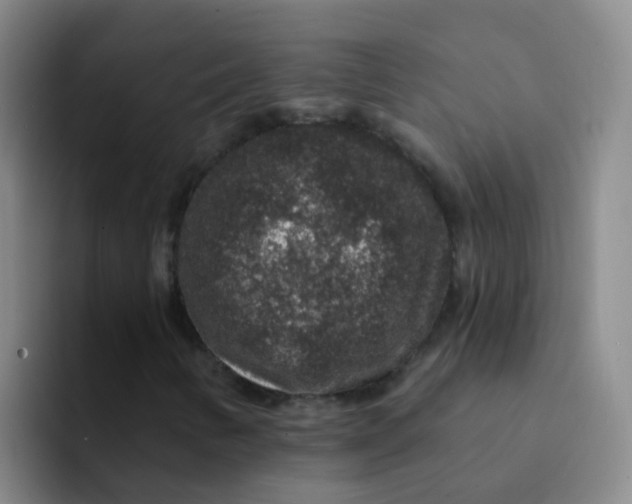 X0000091931346200709261906