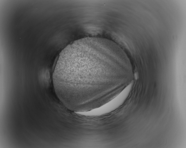 X0000091931347200709261906