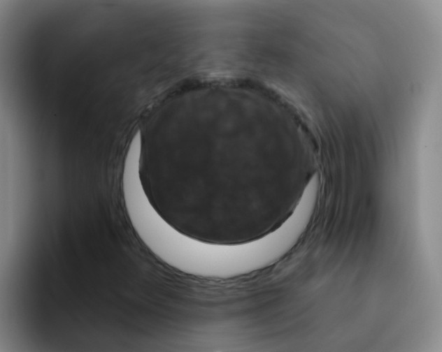 X0000091931348200709261906