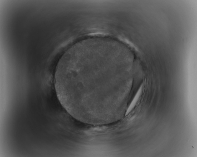 X0000091931351200709261906