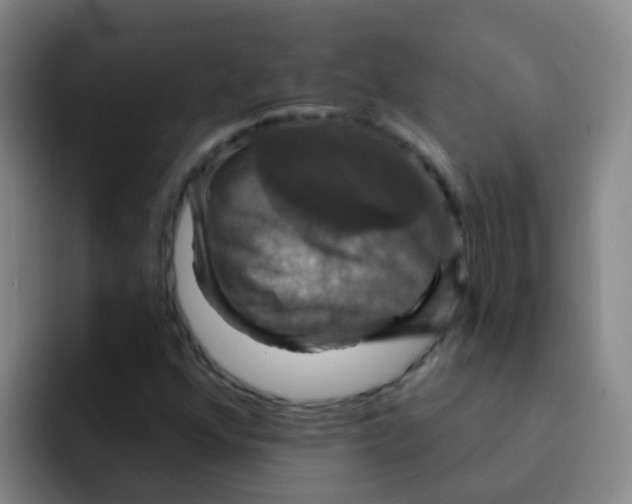 X0000091931352200709261906