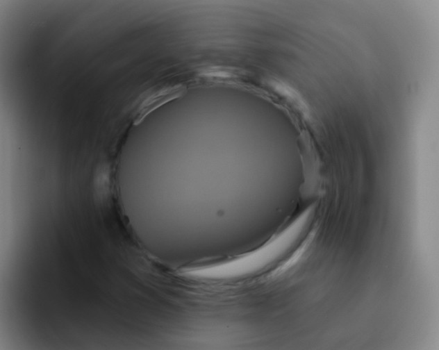 X0000091931353200709261906