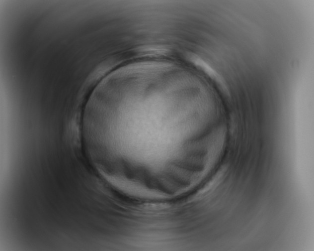 X0000091931354200709261906