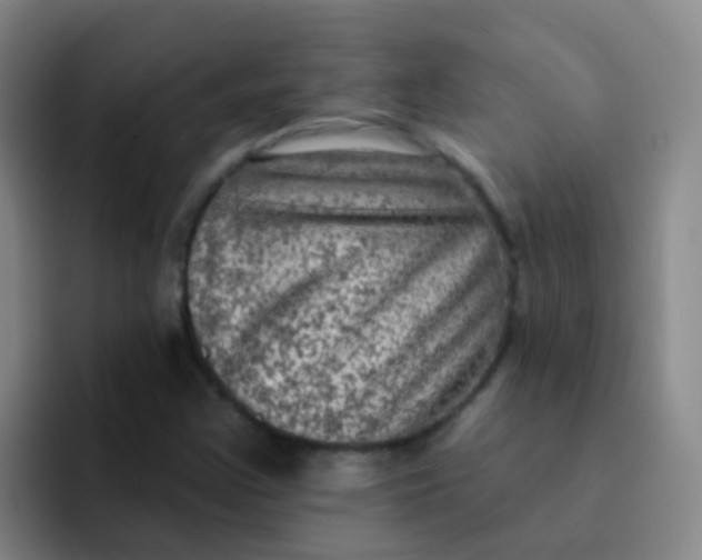 X0000091931355200709261906