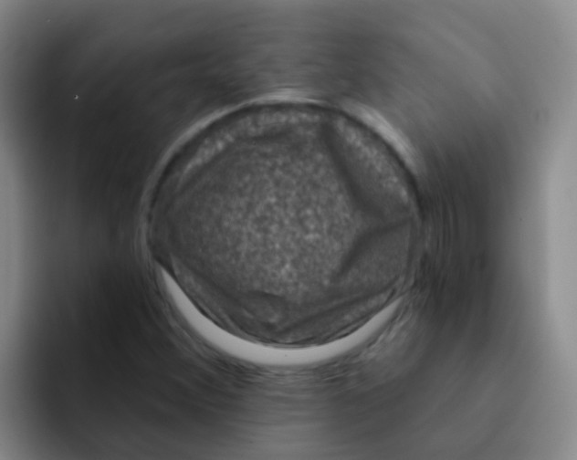 X0000091931356200709261906