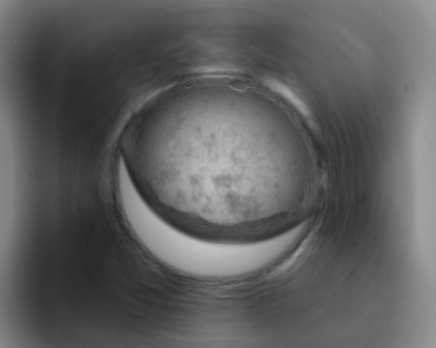 X0000091931357200709261906