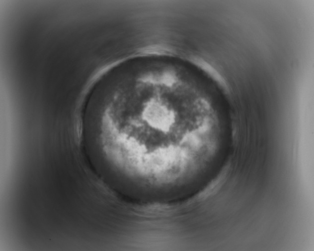 X0000091931358200709261906