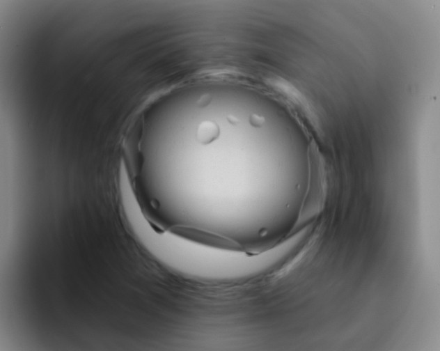 X0000091931361200709261906