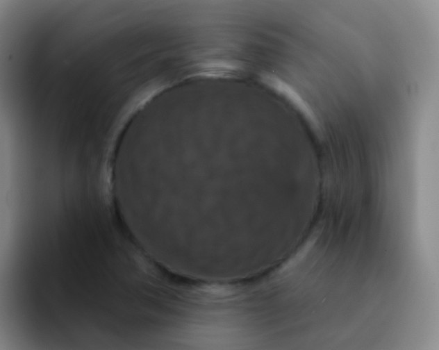 X0000091931362200709261906