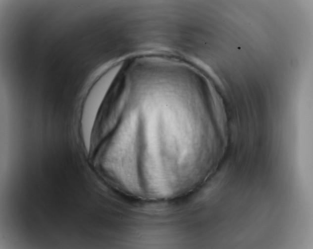 X0000091931363200709261906
