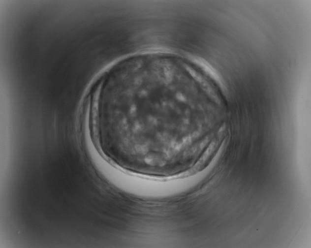 X0000091931364200709261906
