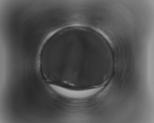 X0000091931367200709261906