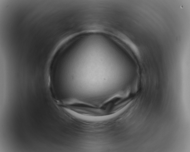 X0000091931368200709261906