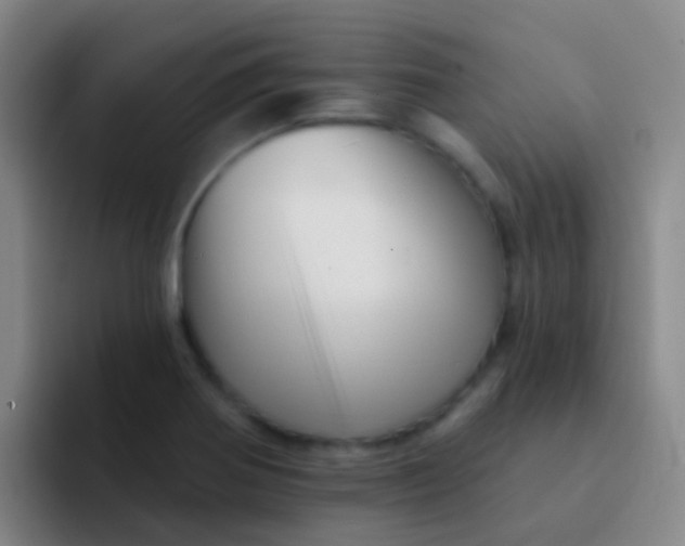 X0000091931370200709261906