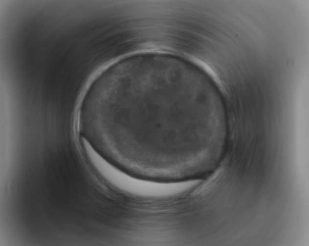 X0000091931371200709261906