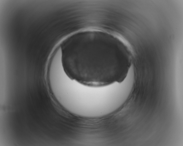 X0000091931372200709261906