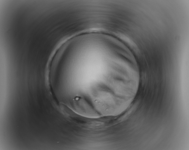 X0000091931374200709261906