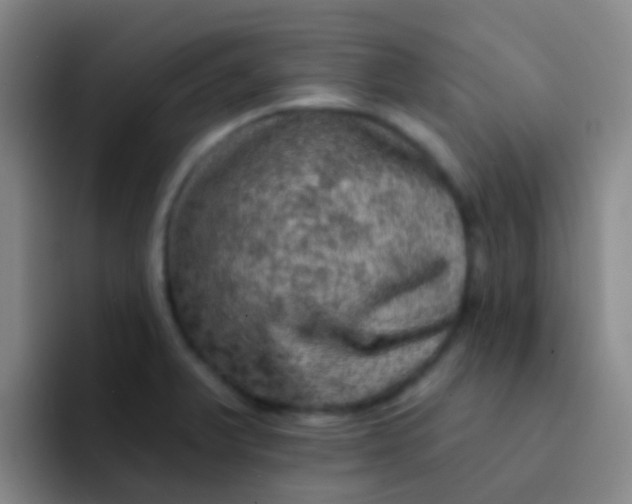 X0000091931375200709261906