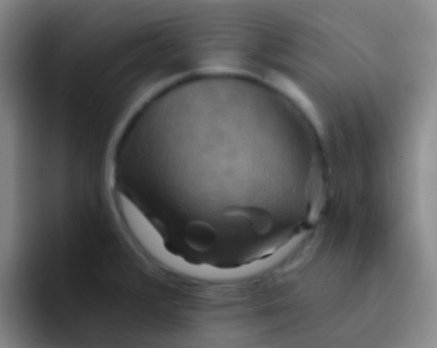 X0000091931376200709261906