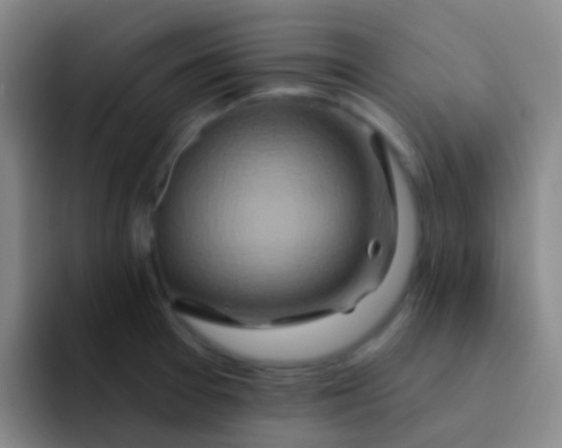 X0000091931377200709261906