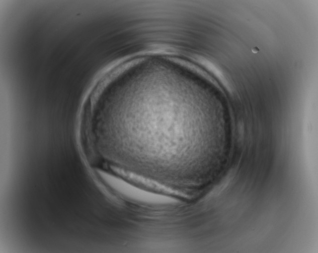 X0000091931379200709261906