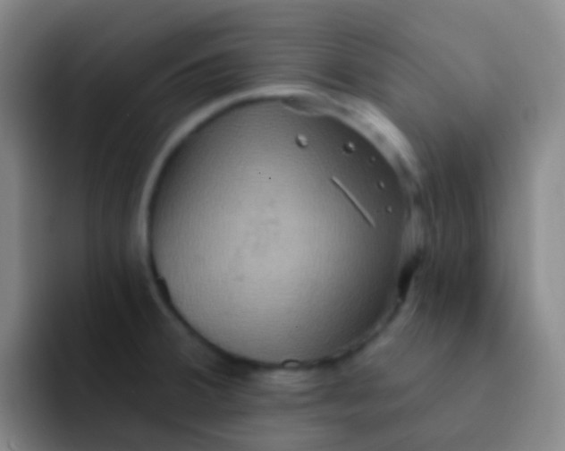X0000091931380200709261906