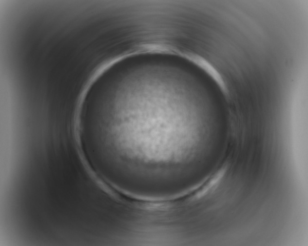 X0000091931381200709261906