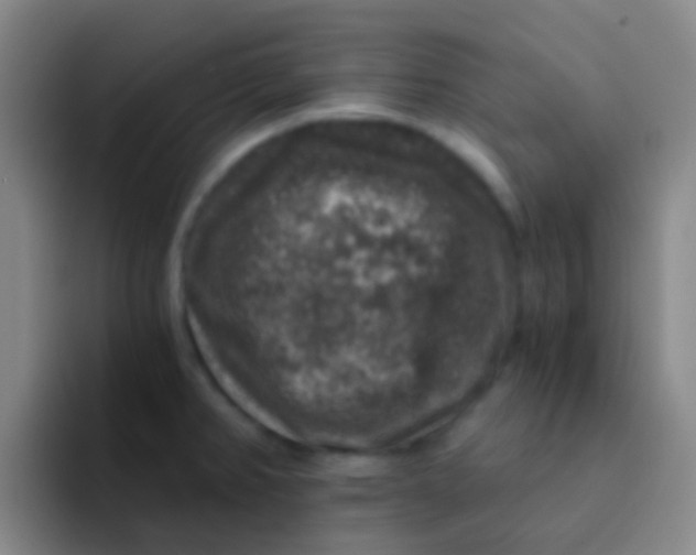 X0000091931382200709261906