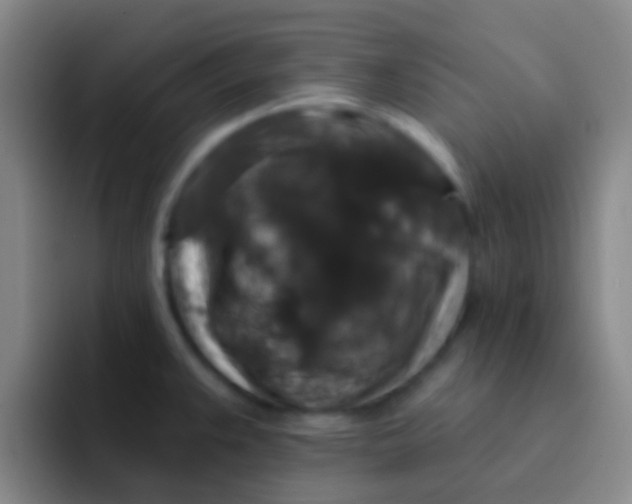 X0000091931383200709261906