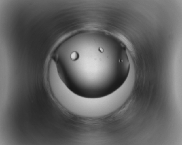 X0000091931384200709261906