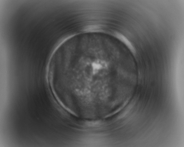 X0000091931386200709261906
