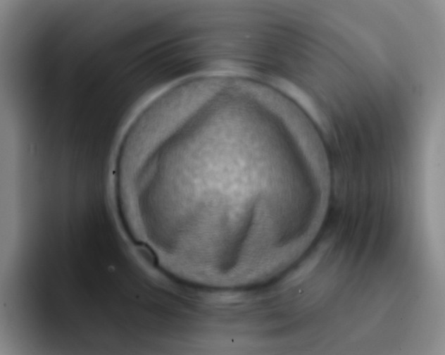 X0000091931387200709261906