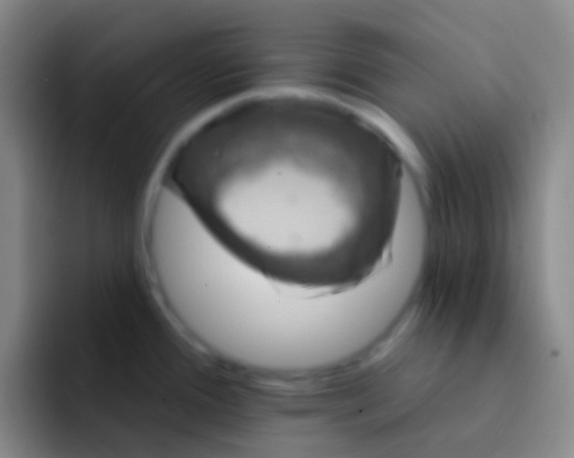 X0000091931388200709261906