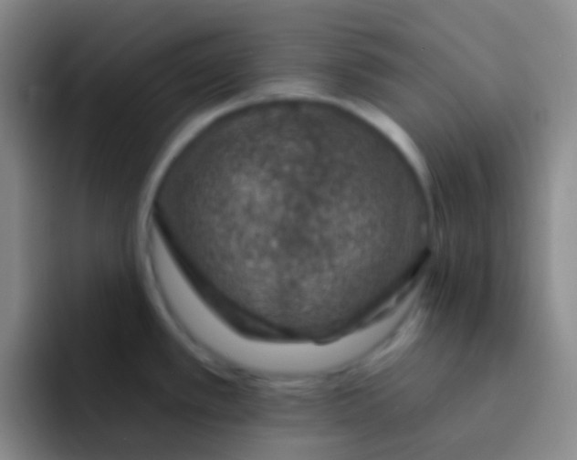 X0000091931389200709261906