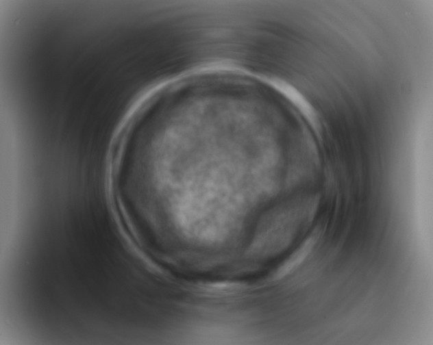 X0000091931390200709261906