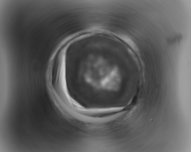 X0000091931392200709261906