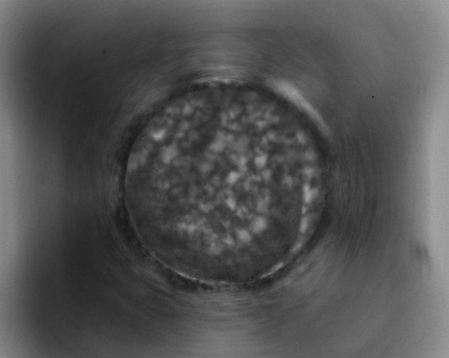 X0000091931399200709261905