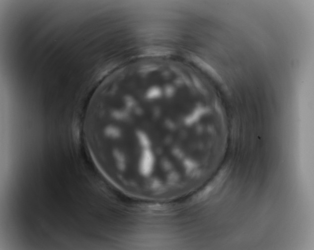 X0000091931401200709261905