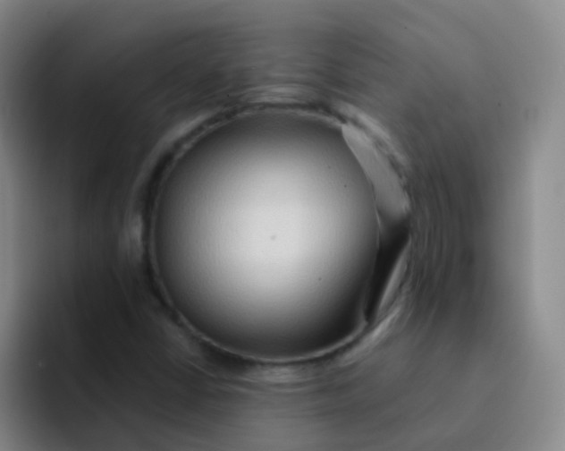 X0000091931402200709261906